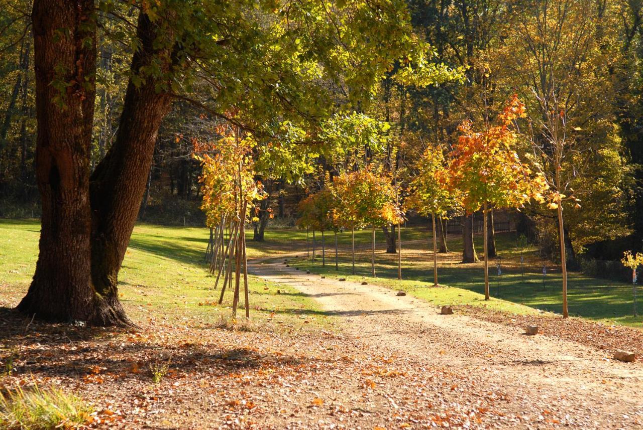 Le Manoir Du Rocher Domme Exteriér fotografie